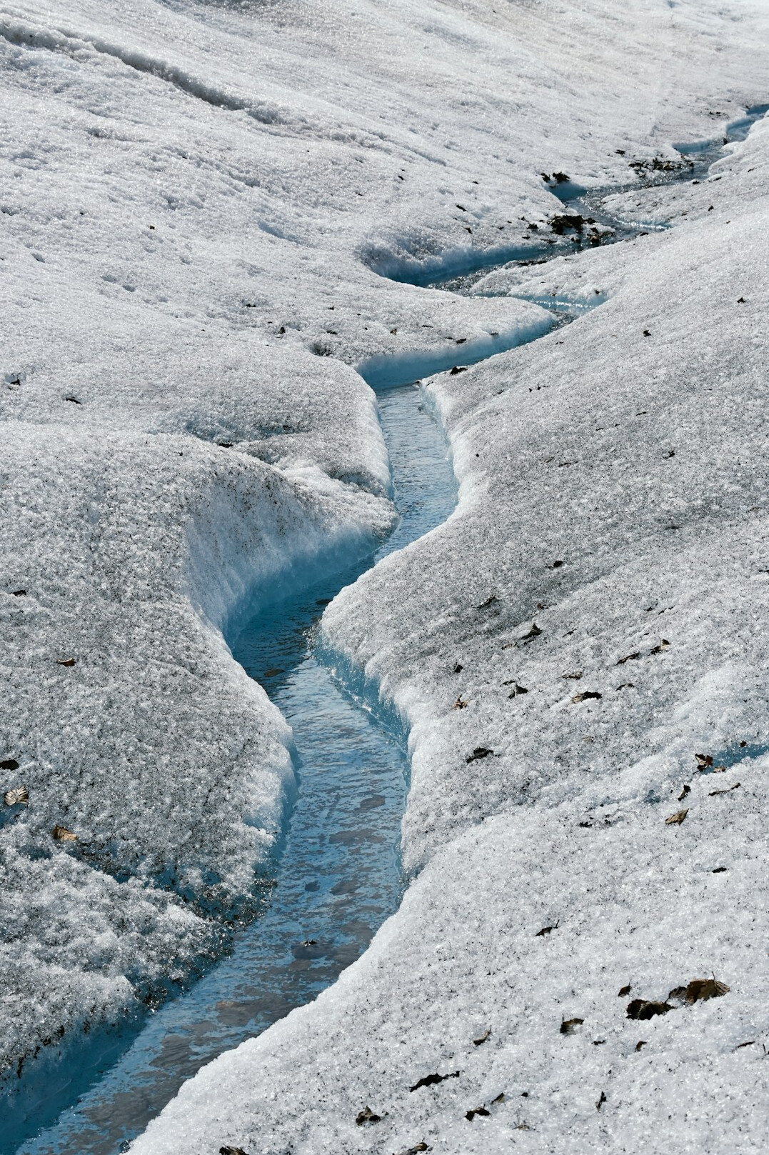 melting glaciers in arctic